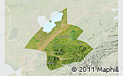 Satellite 3D Map of Linxiang, lighten