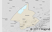 Shaded Relief 3D Map of Linxiang, desaturated