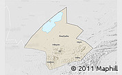 Shaded Relief 3D Map of Linxiang, lighten, desaturated