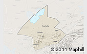 Shaded Relief 3D Map of Linxiang, lighten
