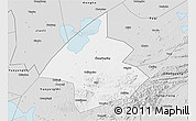 Silver Style 3D Map of Linxiang