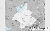 Gray Map of Linxiang