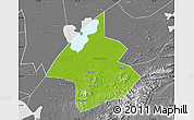 Physical Map of Linxiang, desaturated