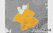 Political Map of Linxiang, desaturated