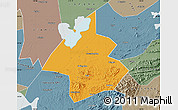Political Map of Linxiang, semi-desaturated