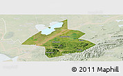 Satellite Panoramic Map of Linxiang, lighten