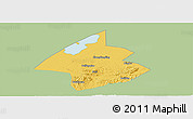 Savanna Style Panoramic Map of Linxiang, single color outside