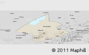 Shaded Relief Panoramic Map of Linxiang, desaturated