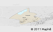 Shaded Relief Panoramic Map of Linxiang, lighten, desaturated