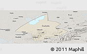 Shaded Relief Panoramic Map of Linxiang, semi-desaturated