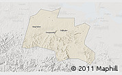 Shaded Relief 3D Map of Taojiang, lighten, semi-desaturated
