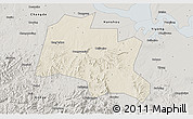 Shaded Relief 3D Map of Taojiang, semi-desaturated