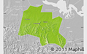 Physical Map of Taojiang, lighten, desaturated