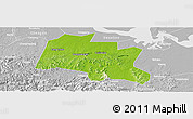 Physical Panoramic Map of Taojiang, lighten, desaturated