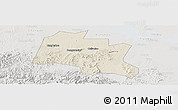 Shaded Relief Panoramic Map of Taojiang, lighten, semi-desaturated