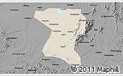 Shaded Relief 3D Map of Wangcheng, darken, desaturated