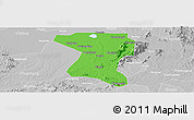 Political Panoramic Map of Wangcheng, lighten, desaturated