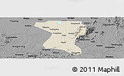 Shaded Relief Panoramic Map of Wangcheng, darken, desaturated