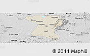Shaded Relief Panoramic Map of Wangcheng, desaturated