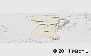 Shaded Relief Panoramic Map of Wangcheng, lighten, desaturated