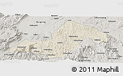Shaded Relief Panoramic Map of Xinning, semi-desaturated