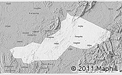 Gray 3D Map of Yongxing