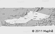 Gray Panoramic Map of Yongxing