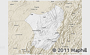 Classic Style 3D Map of Zixing