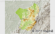 Physical 3D Map of Zixing, lighten, semi-desaturated