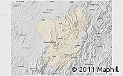 Shaded Relief 3D Map of Zixing, desaturated