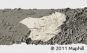 Shaded Relief Panoramic Map of Zixing, darken