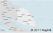 Silver Style 3D Map of Qidong