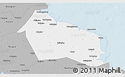Gray 3D Map of Rudong