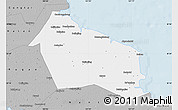 Gray Map of Rudong