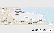 Classic Style Panoramic Map of Rudong