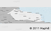 Gray Panoramic Map of Rudong