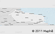 Silver Style Panoramic Map of Rudong