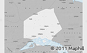 Gray Map of Rugao