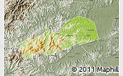 Physical Map of Dayu, semi-desaturated
