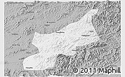 Gray 3D Map of Dexing