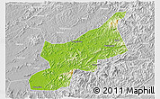 Physical 3D Map of Dexing, lighten, desaturated