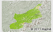 Physical 3D Map of Dexing, lighten, semi-desaturated