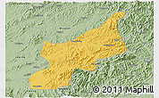 Savanna Style 3D Map of Dexing