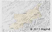 Shaded Relief 3D Map of Dexing, lighten, desaturated
