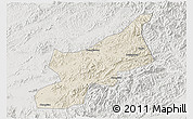 Shaded Relief 3D Map of Dexing, lighten, semi-desaturated
