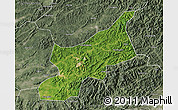 Satellite Map of Dexing, semi-desaturated