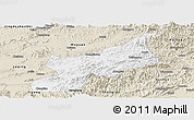 Classic Style Panoramic Map of Dexing