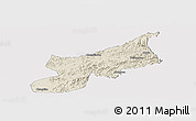 Shaded Relief Panoramic Map of Dexing, cropped outside