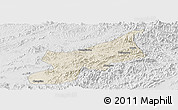 Shaded Relief Panoramic Map of Dexing, lighten, desaturated