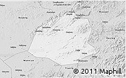 Silver Style 3D Map of Leping